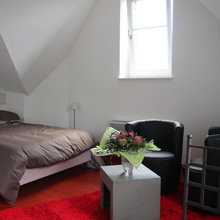 Studio De La Petite Venise Apartman Colmar Kültér fotó