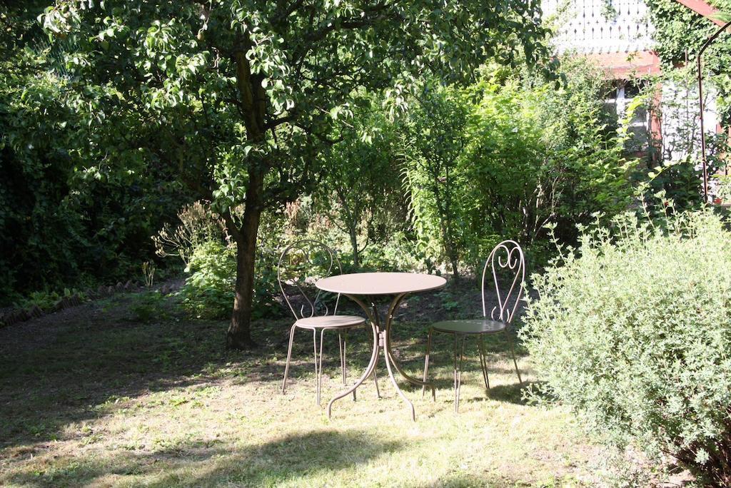 Studio De La Petite Venise Apartman Colmar Kültér fotó