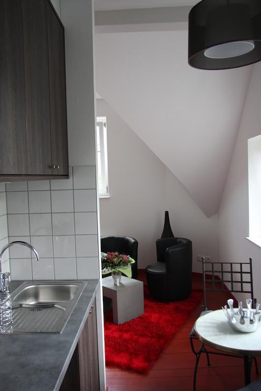 Studio De La Petite Venise Apartman Colmar Kültér fotó