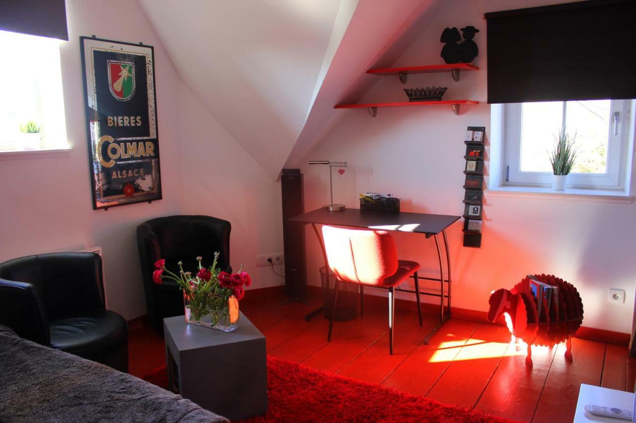 Studio De La Petite Venise Apartman Colmar Kültér fotó