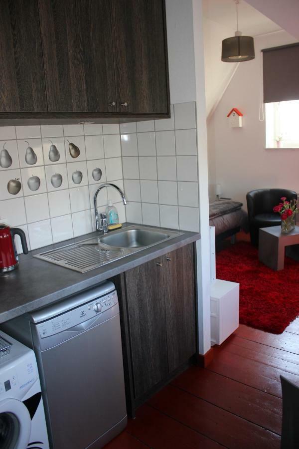 Studio De La Petite Venise Apartman Colmar Kültér fotó